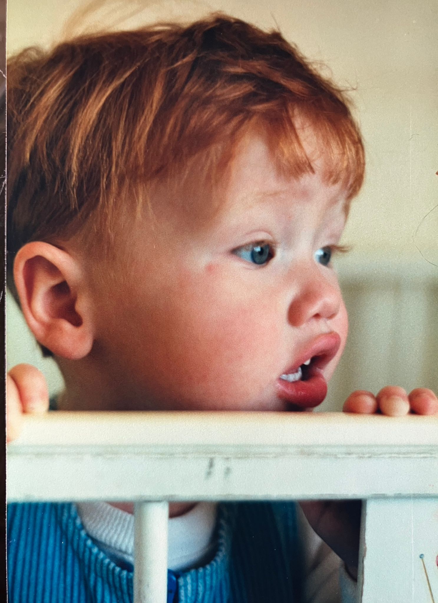 WhatsApp Image 2026-04-05 at 21.17.26.jpeg