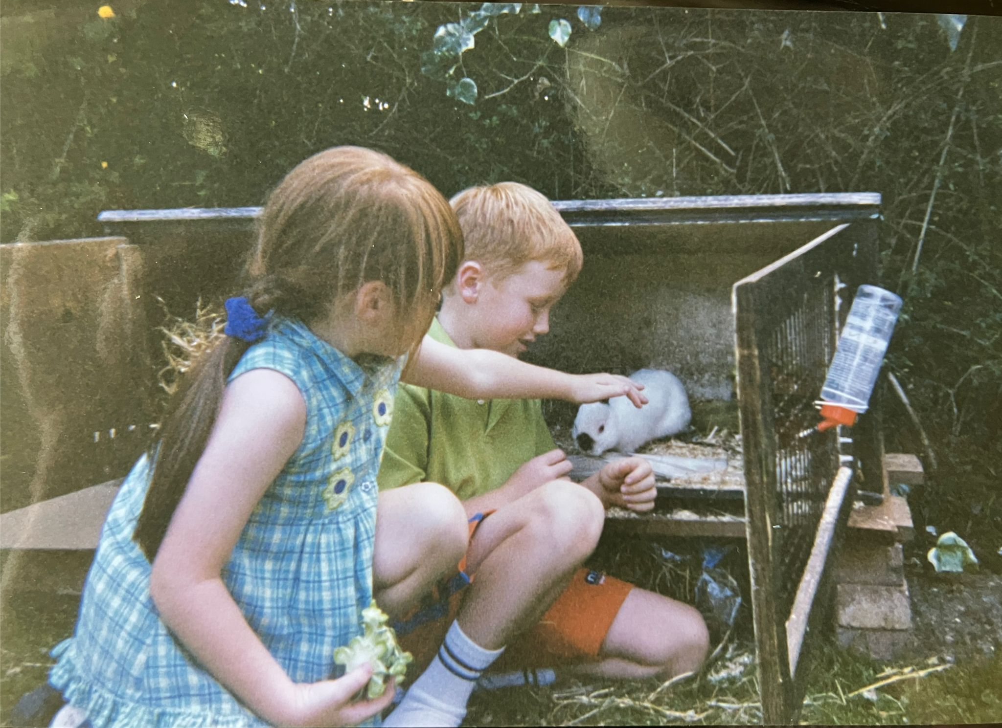 WhatsApp Image 2026-04-05 at 21.42.34 (1).jpeg